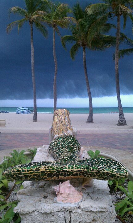 Mermaid watching stormy weather